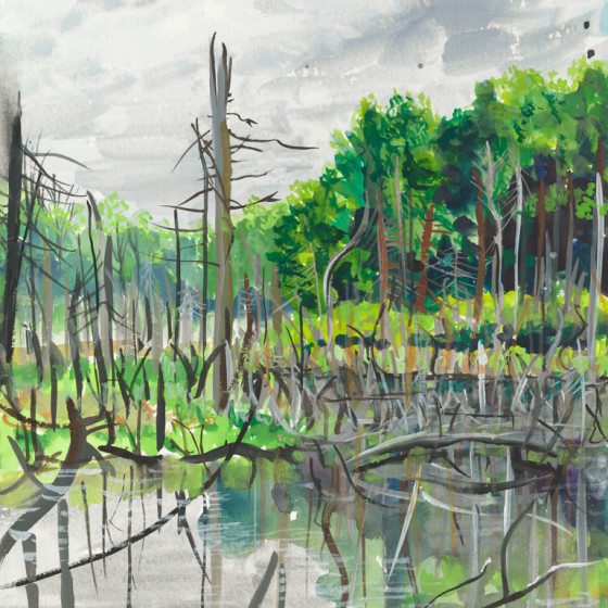 Mia Scheffey - Study #7